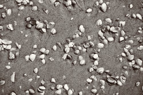 圖案, 沙, 海洋 的 免费素材图片