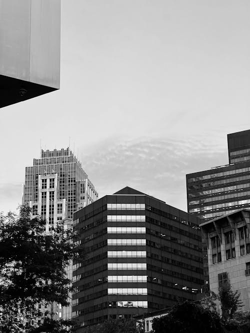 Kostenloses Stock Foto zu gebäude, schwarz und weiß, stadt