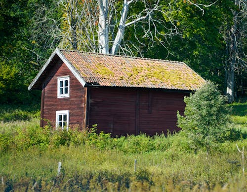 Gratis stockfoto met bomen, cottage, cottages