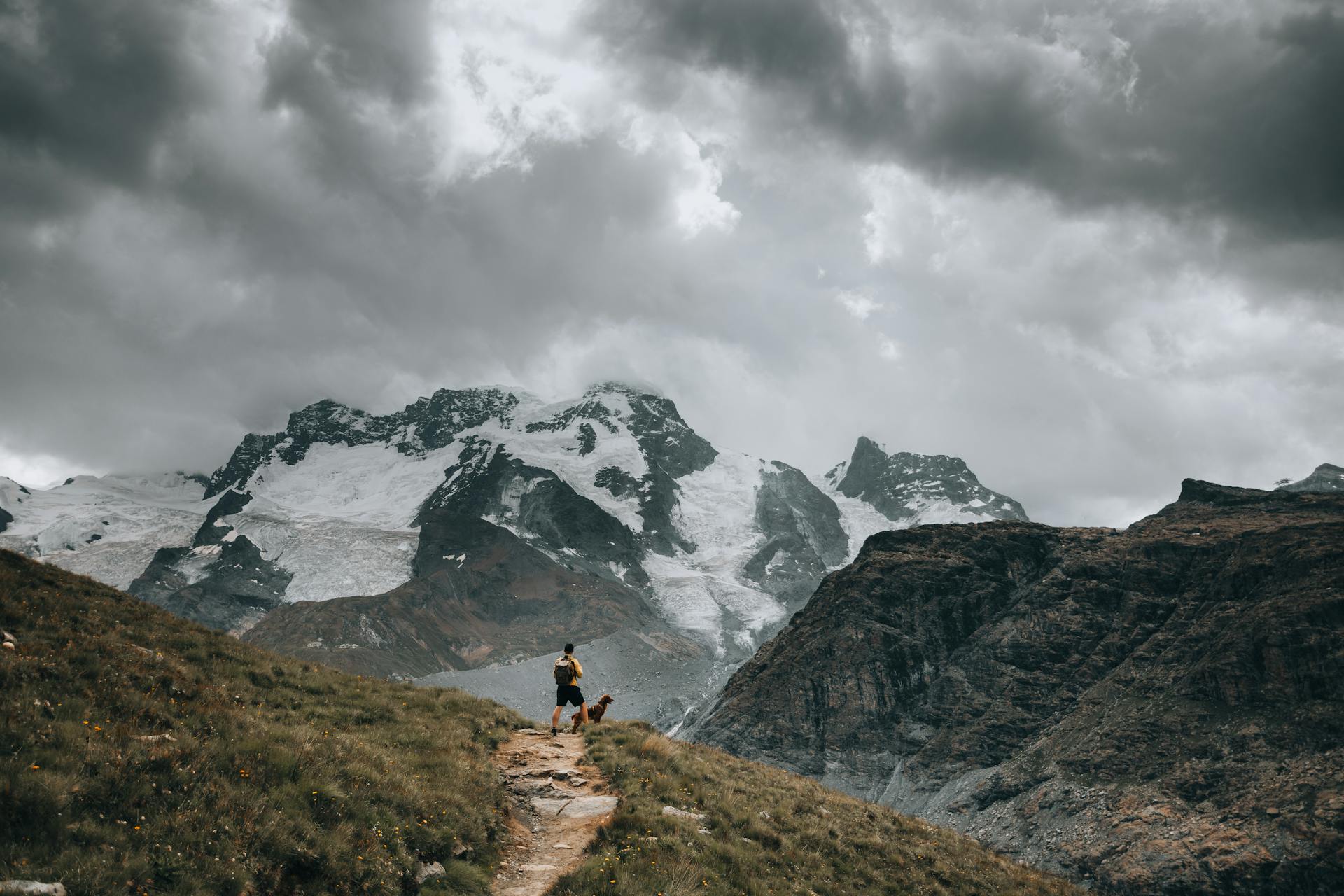 Hiker with a Dog on a Mountain Trail Admiring the Alpine Views