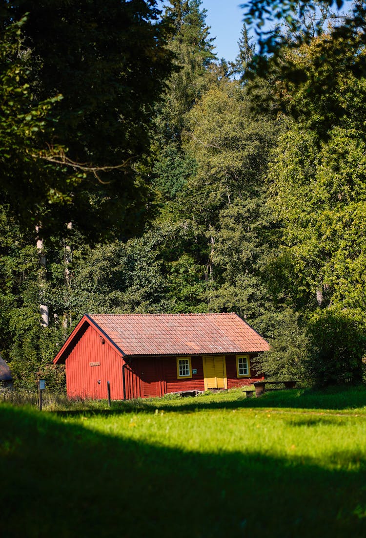 House On Grassland In Forest