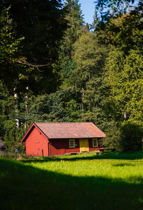 Free Captivating red cabin nestled among vibrant green trees in a serene rural forest landscape. Stock Photo