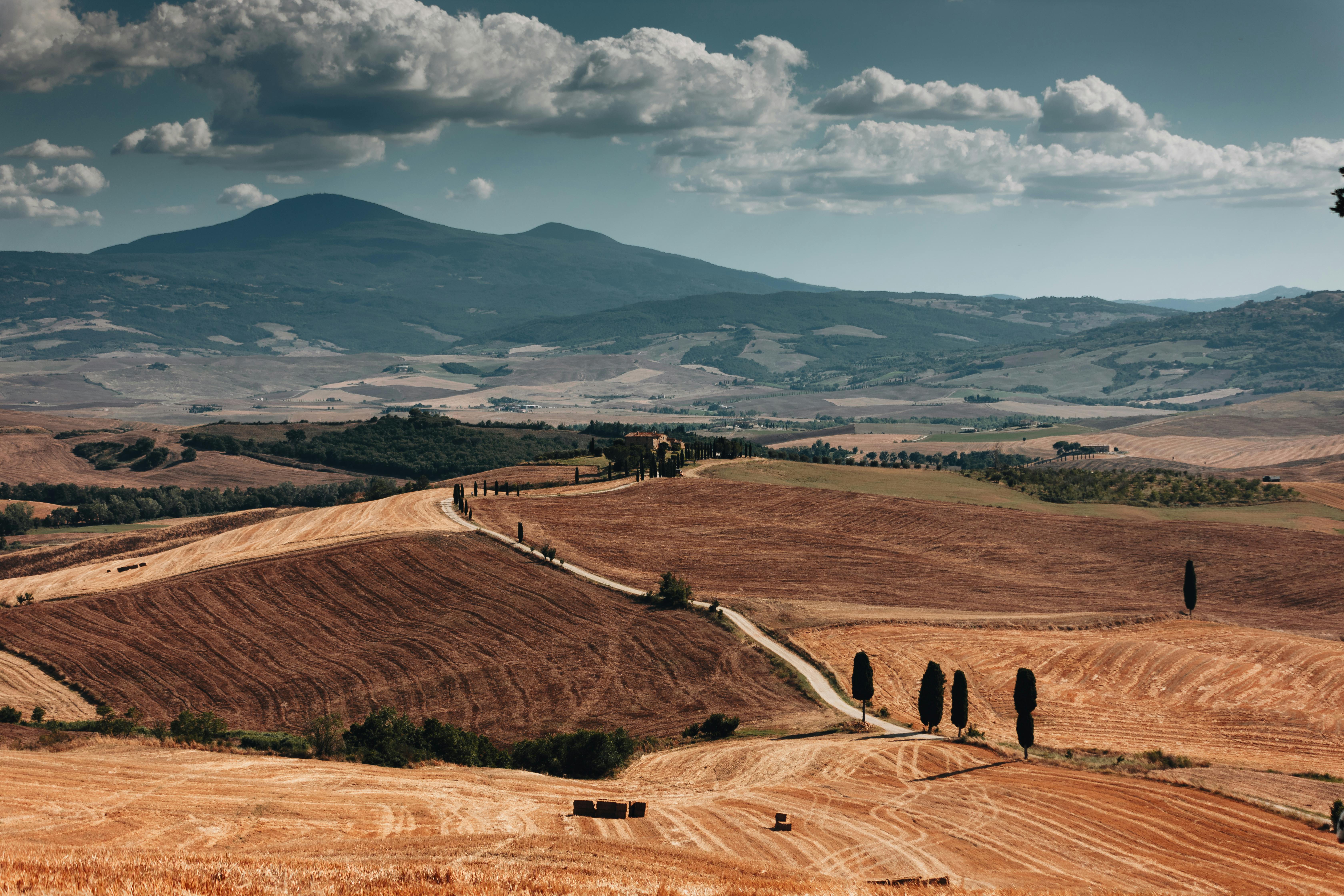 Creek Dinner Serenity on a traditional Dhow cruise in Dubai, featuring illuminated cityscapes.