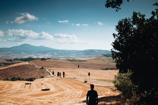 A man gazes over expansive fields with mountains in the background, capturing the essence of rural summer landscapes.