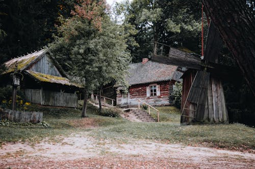 Foto profissional grátis de antigo, árvores, cabana de madeira