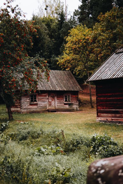 Free A charming rustic log cabin surrounded by lush trees in a peaceful countryside. Stock Photo