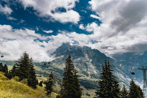 Immagine gratuita di alberi, montagne, natura