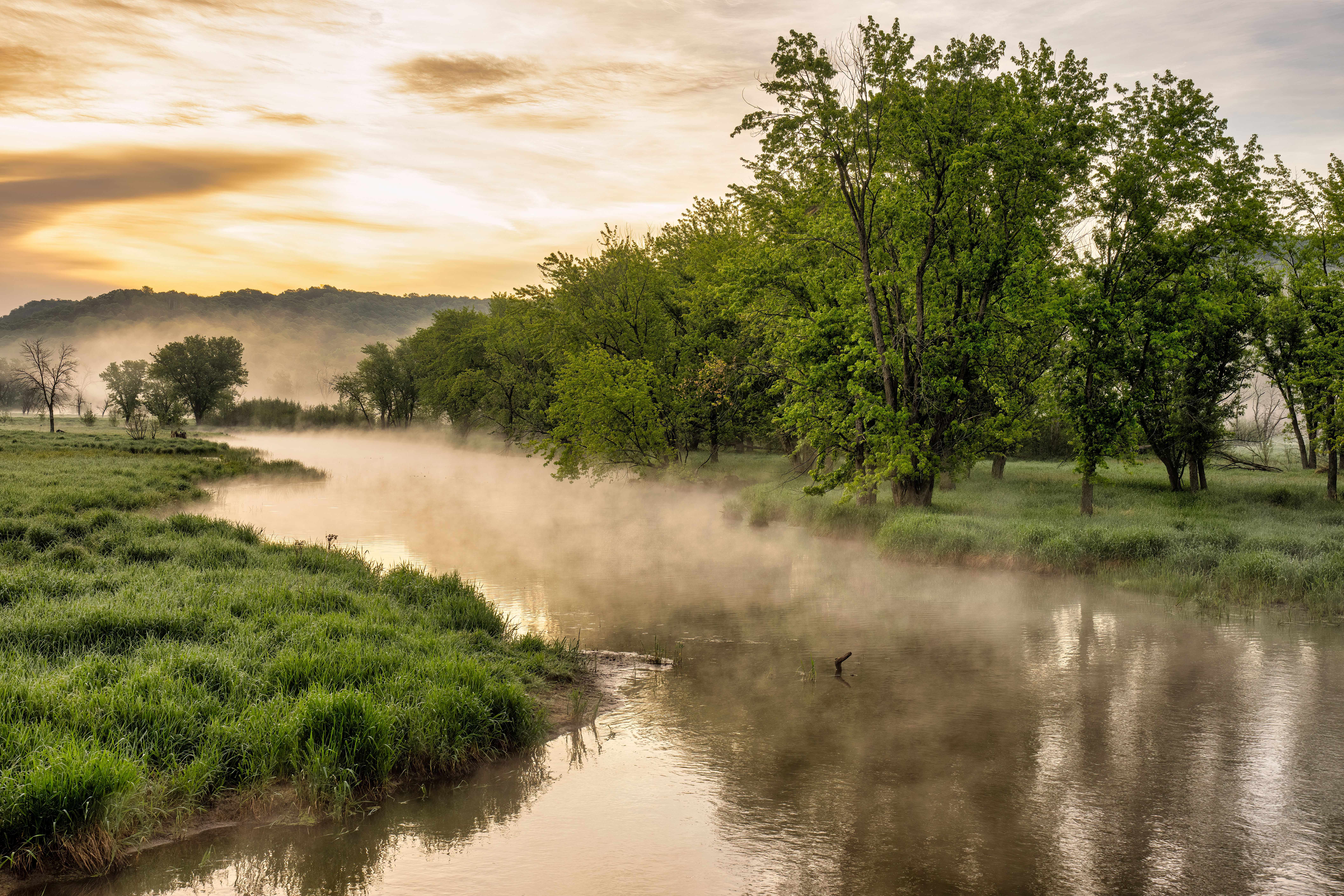 Mist over River at Dawn · Free Stock Photo