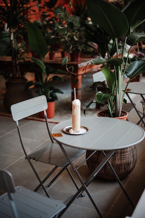 house indoor garden