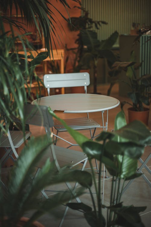 Darmowe zdjęcie z galerii z krzesła, liście, pionowy strzał