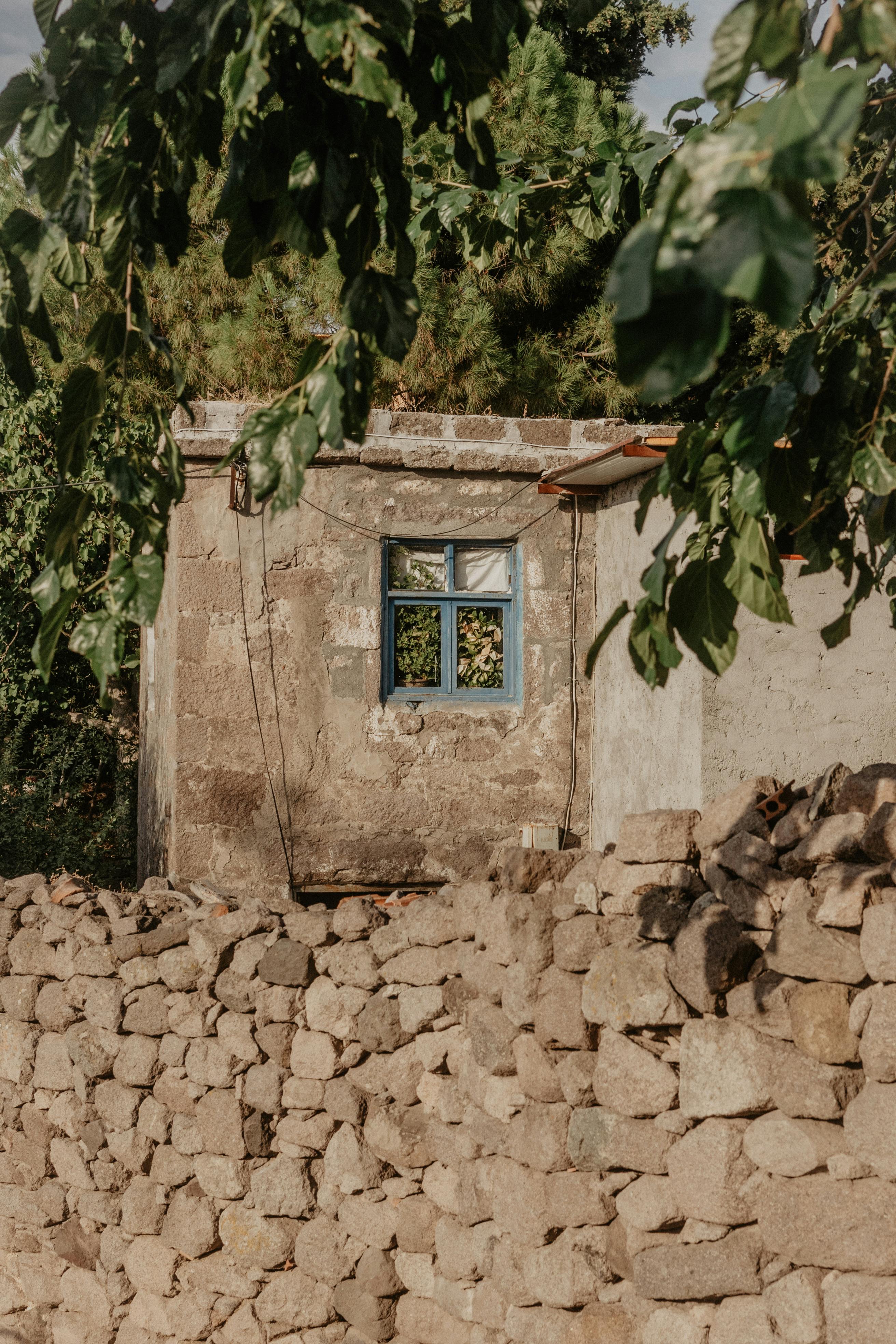 An abandoned rustic stone house with a blue-framed window, partially obscured by green foliage and surrounded by stone walls.