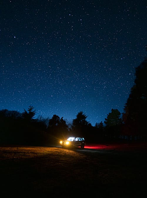 A Car in the Forest under a Starry Sky 