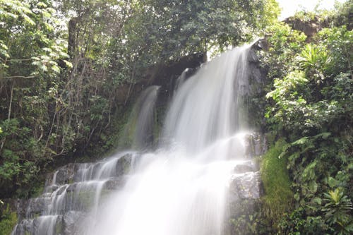 Kostenlos Wasserfälle Auf Fokusfotografie Stock-Foto