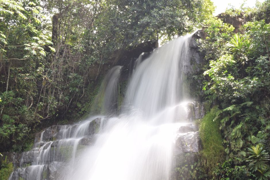 Panoramic view of the 90-meter Materuni Waterfall cascading into a pool surrounded by rainforest - how to get to materuni Panoramic view of the 90-meter Materuni Waterfall cascading into a pool surrounded by rainforest - how to get to materuni