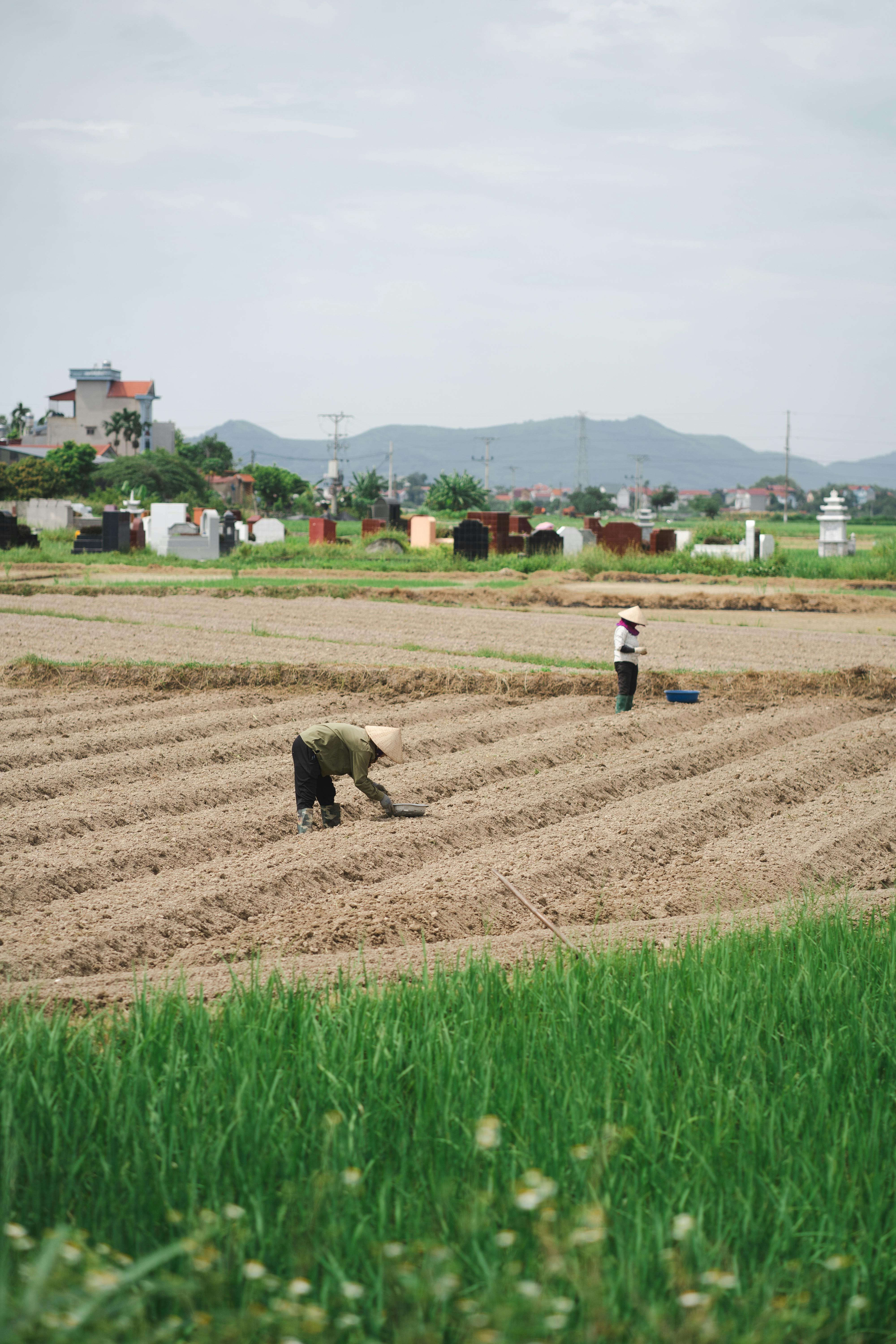 Two farmers working in a plowed field surrounded by countryside scenery, depicting rural agriculture.