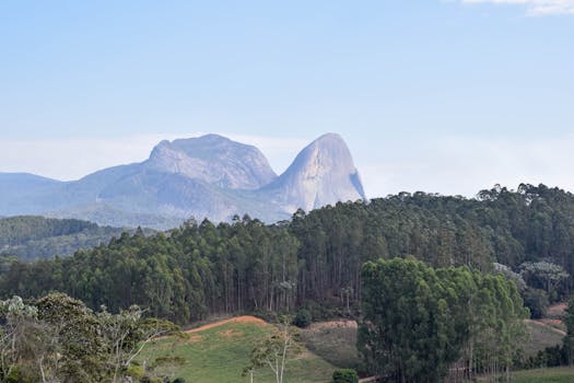 清澈的蓝天下，郁郁葱葱的森林与雄伟的山脉构成了一幅令人惊叹的景色