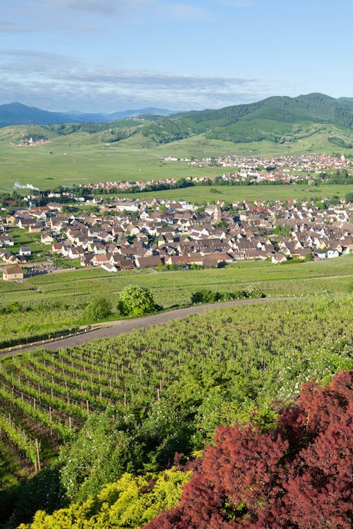 Free Landscape of a Small Town Next to the Mountains and a Vineyard Stock Photo