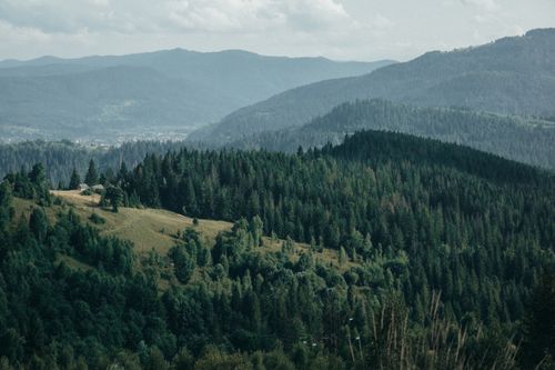 Free Breathtaking aerial view of a mountainous landscape with dense forests, meadows, and distant cottages. Stock Photo