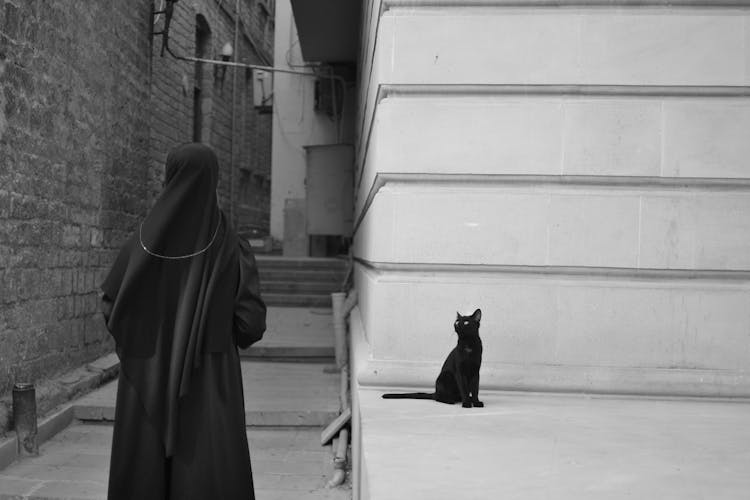 Woman In Hijab From The Back Walking Through The Alley Next To A Cat Sitting By The Wall