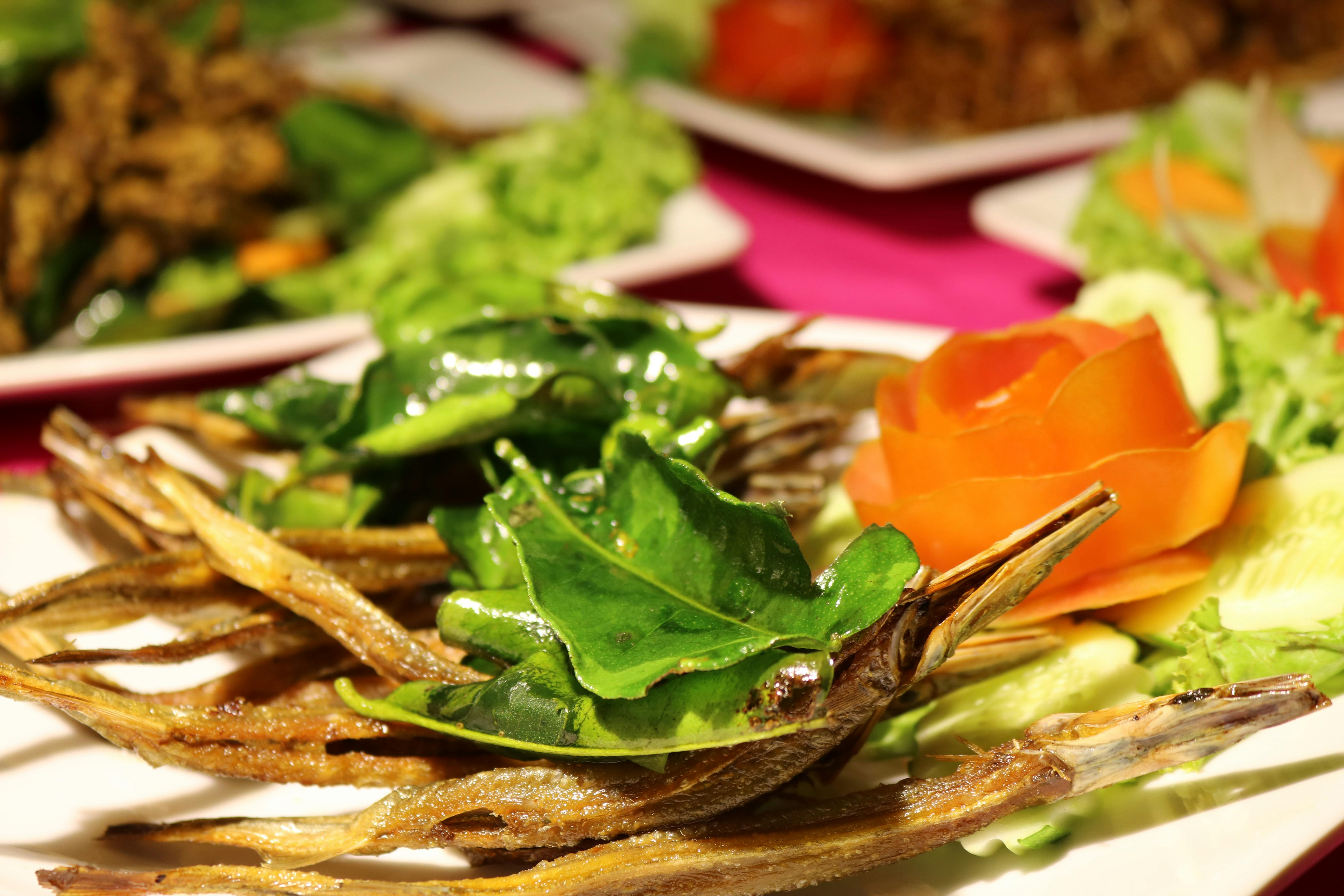 Free stock photo of Cambodia Food