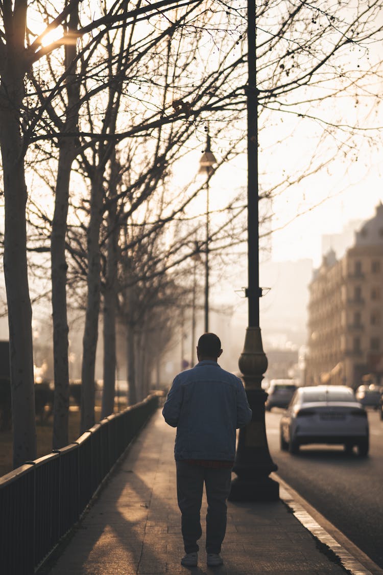 Man Walking On Street Along Trees