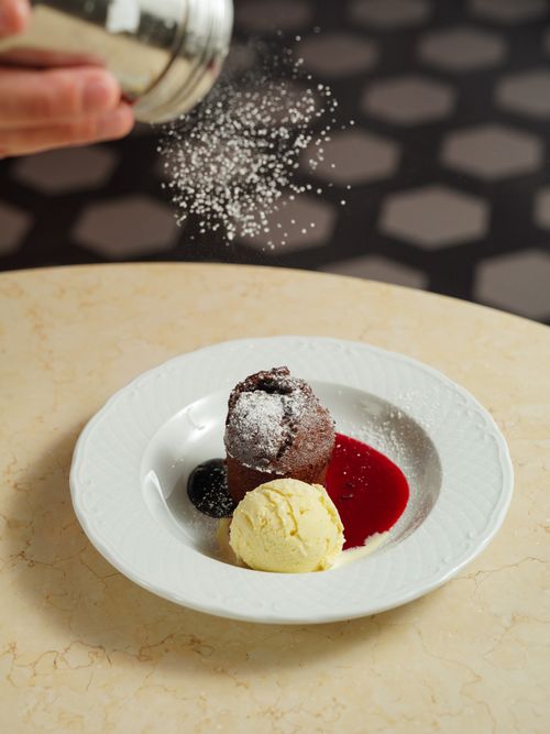 Free Gourmet dessert featuring chocolate cake, vanilla ice cream, and berry sauce, dusted with powdered sugar. Stock Photo