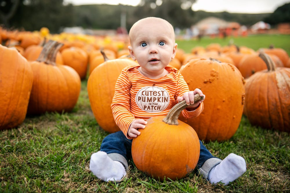 Pumpkin Patch Cupcakes