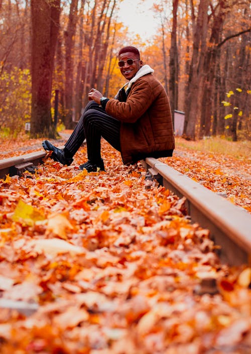 Immagine gratuita di alberi, autunno, cadere