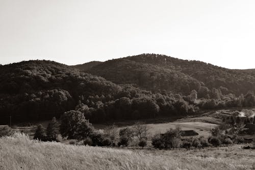 Základová fotografie zdarma na téma černobílý, kopce, krajina