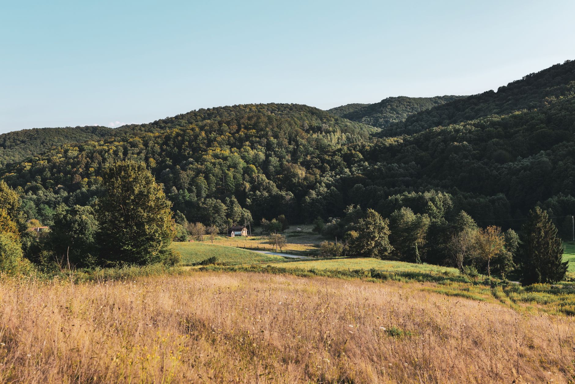 Idyllic summer view of Podgarić's rolling hills and lush forests in Croatia.