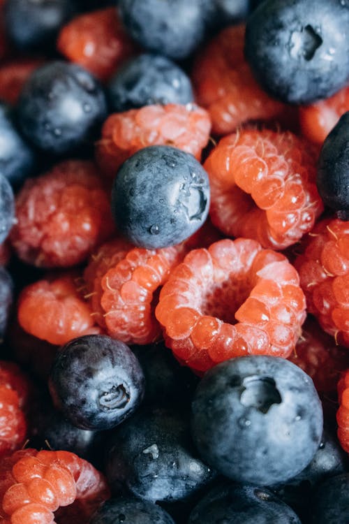 Free Close-up of a Mix of Berries  Stock Photo