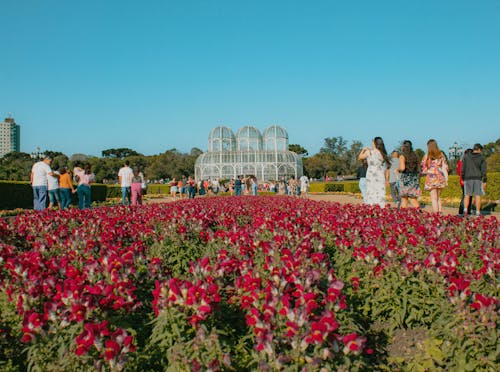 植物園の無料の写真素材