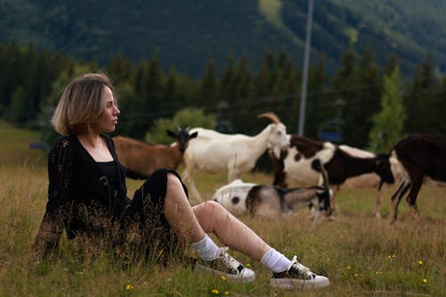 Gratuit Imagine de stoc gratuită din agrement, capre, femeie Fotografie de stoc