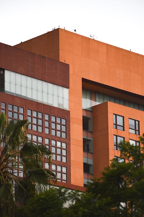 Facade of a Modern Building and Palm Trees