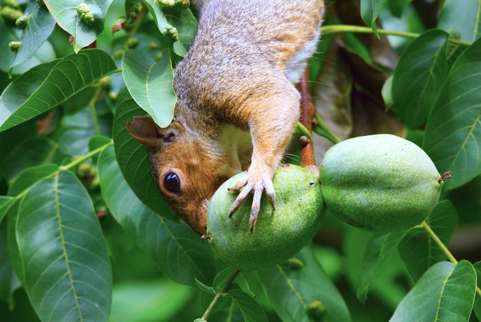 Mythical Creatures' Diet Secrets