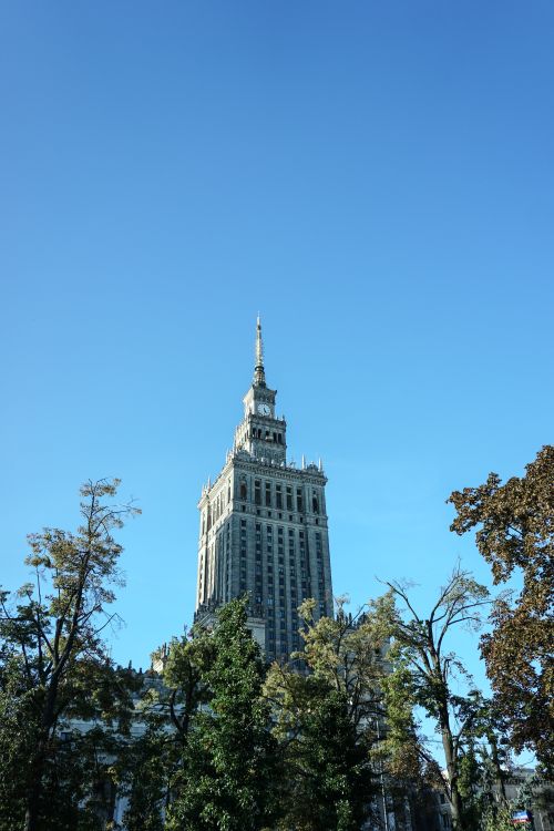 Free Tall skyscraper towering over green trees in Warsaw's cityscape, Poland Stock Photo