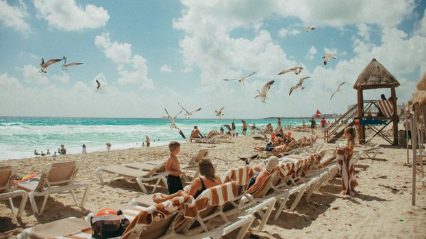 A lively beach scene with seagulls, sunbathers, and turquoise sea under a bright sky.