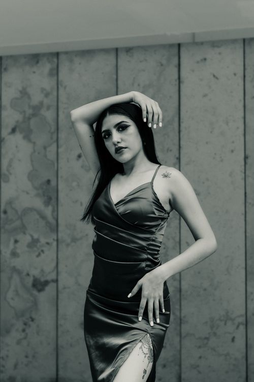 Free A graceful, fashionable brunette woman posing indoors wearing a satin dress. Stock Photo