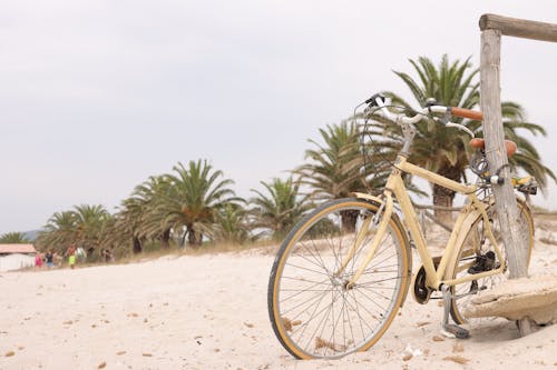 Bicycle on Tropical Beach