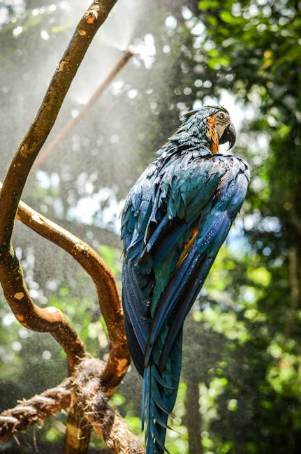 Blue Macaw Perched on Tree Twig