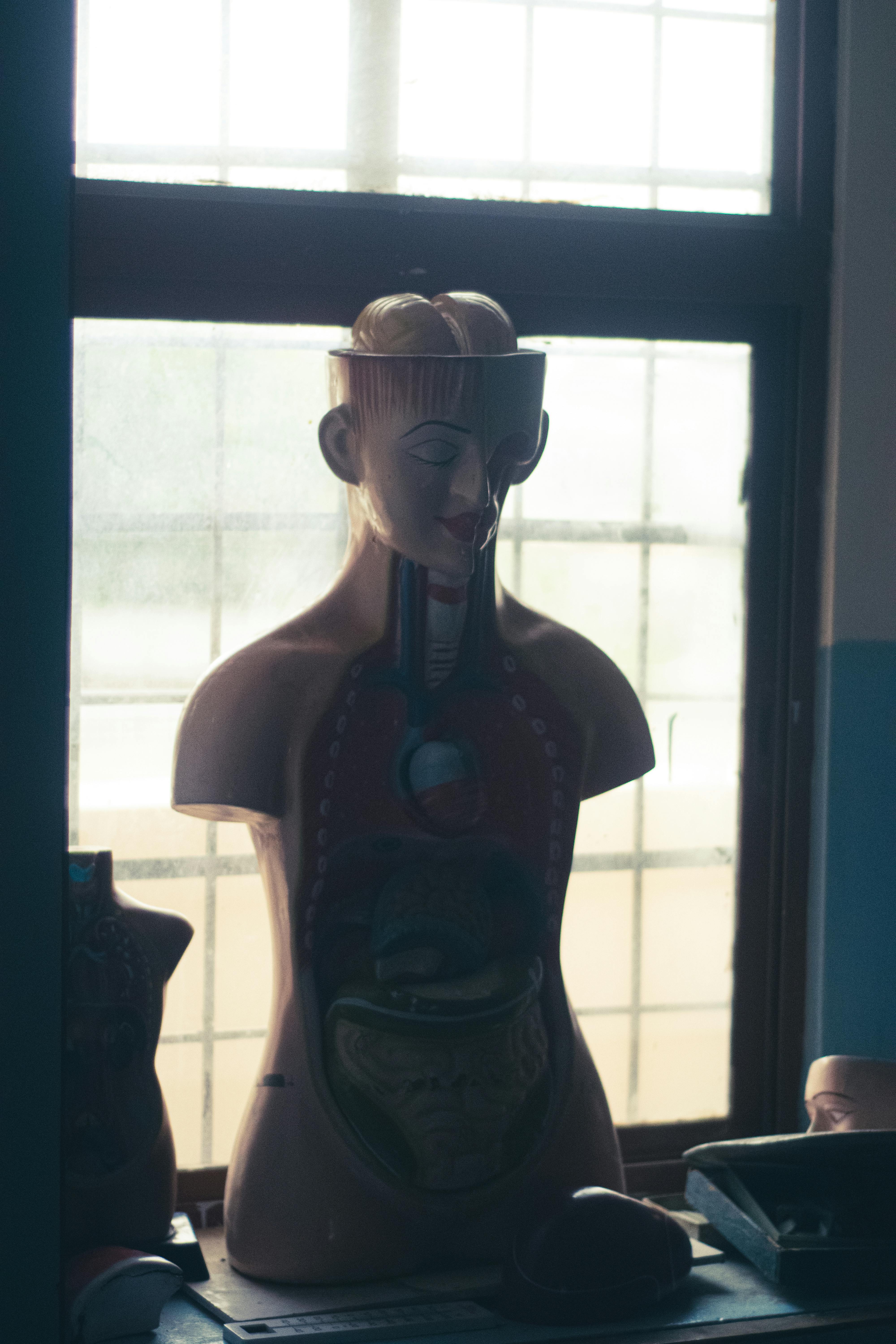 common:alt.prefix Základová fotografie zdarma na téma #krytý, akademické prostředí, akademický common:alt.postfix