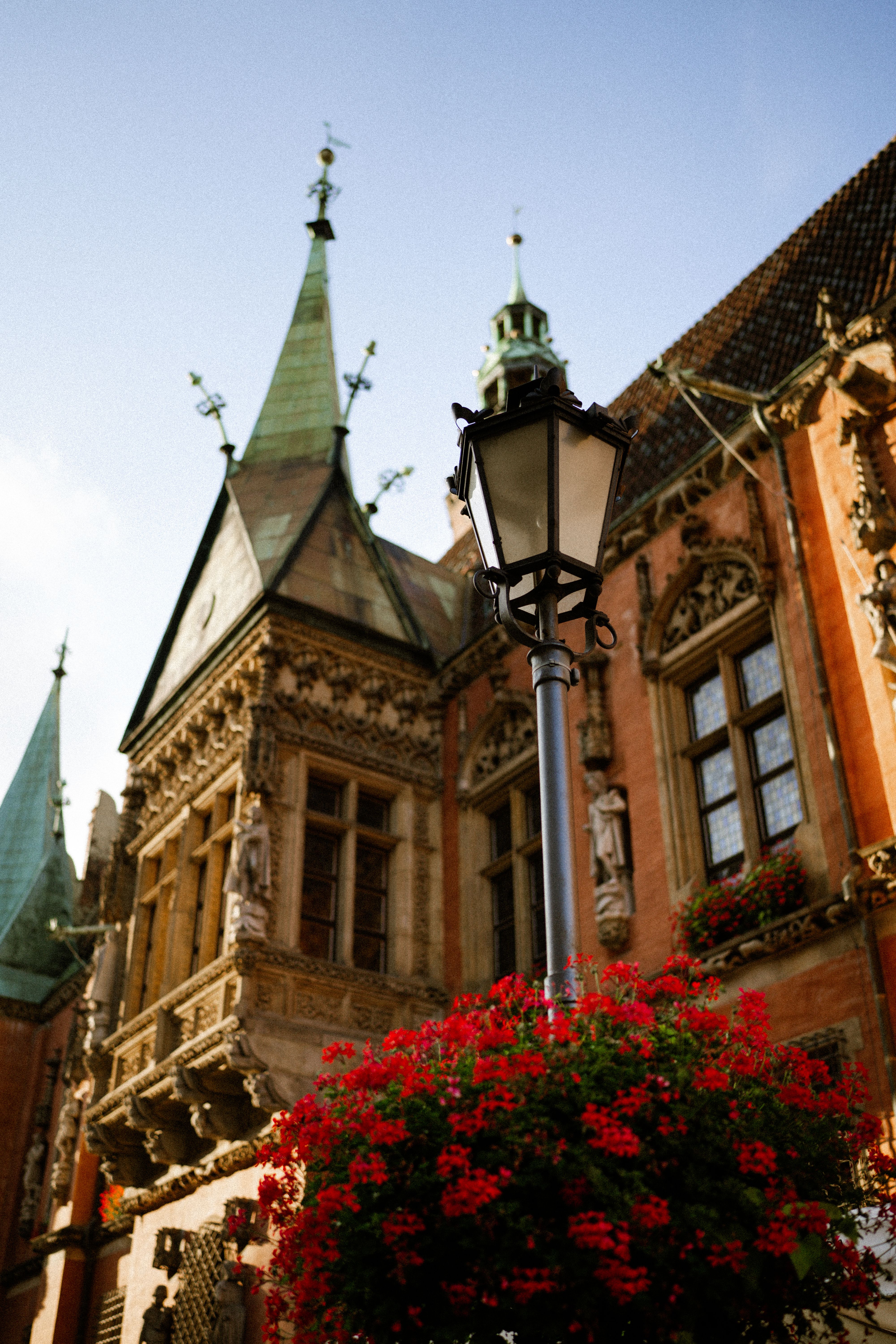 Wrocław's vibrant Market Square with colourful Gothic town hall
