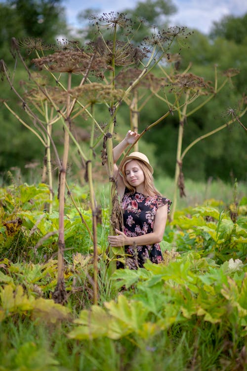 Foto stok gratis berambut pirang, bergaya, bidang