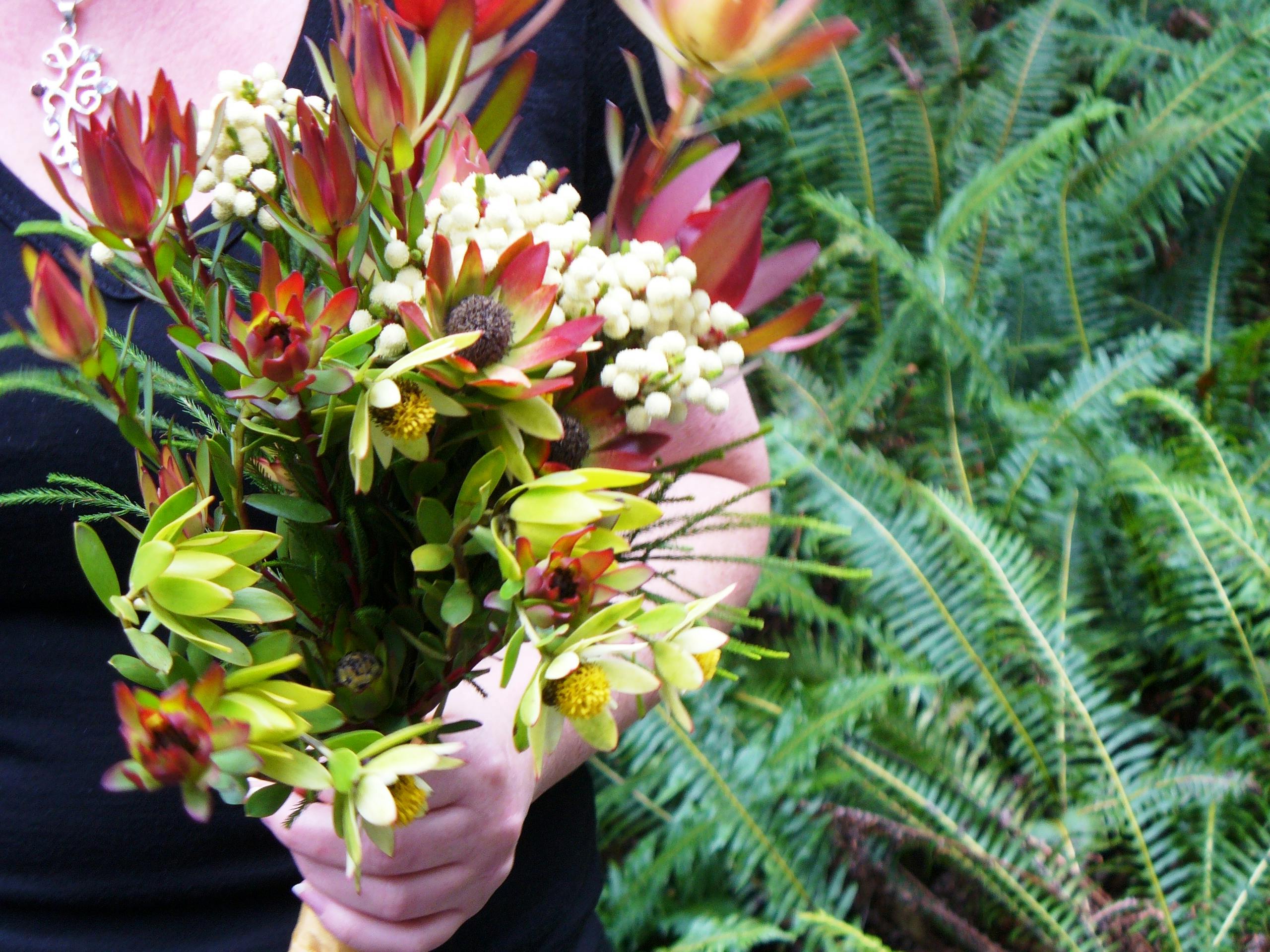 Free stock photo of Australian natives, bouquet, flowers