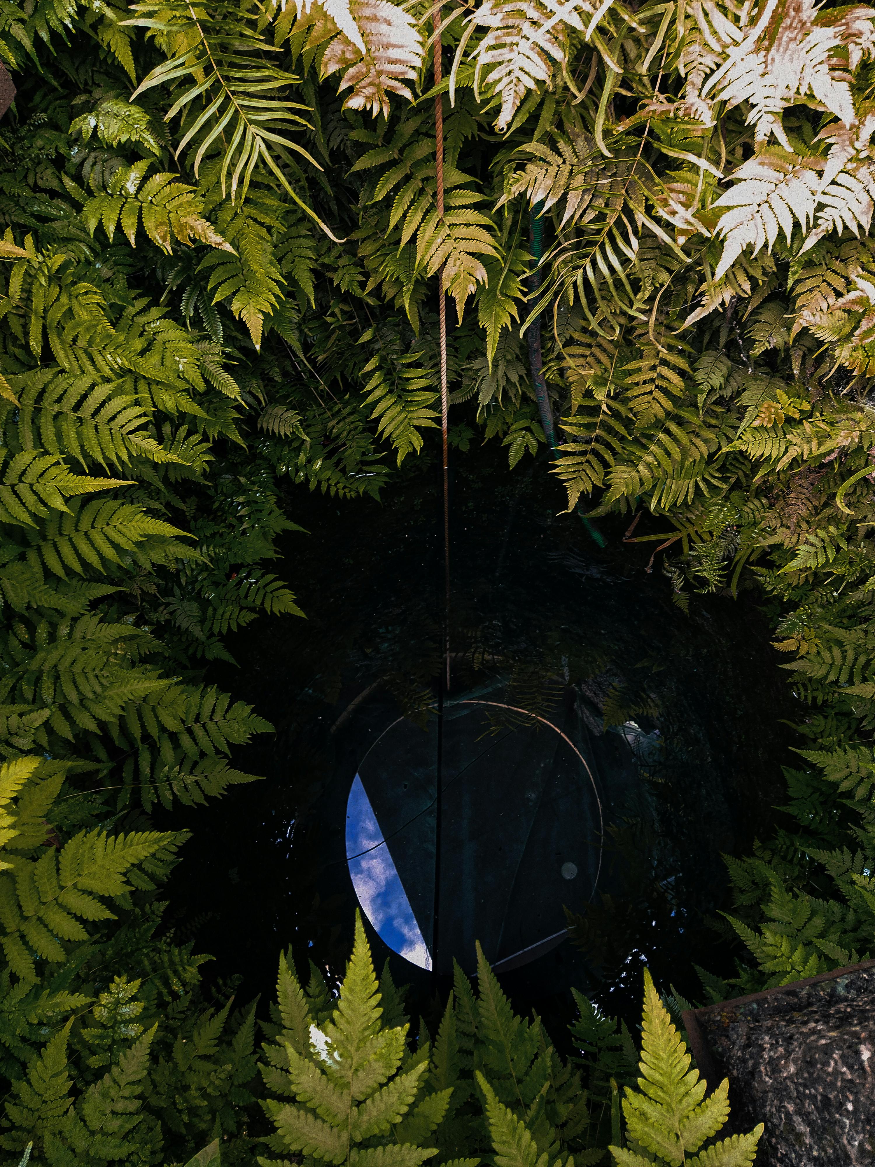 bathtub effect planting hole diagram