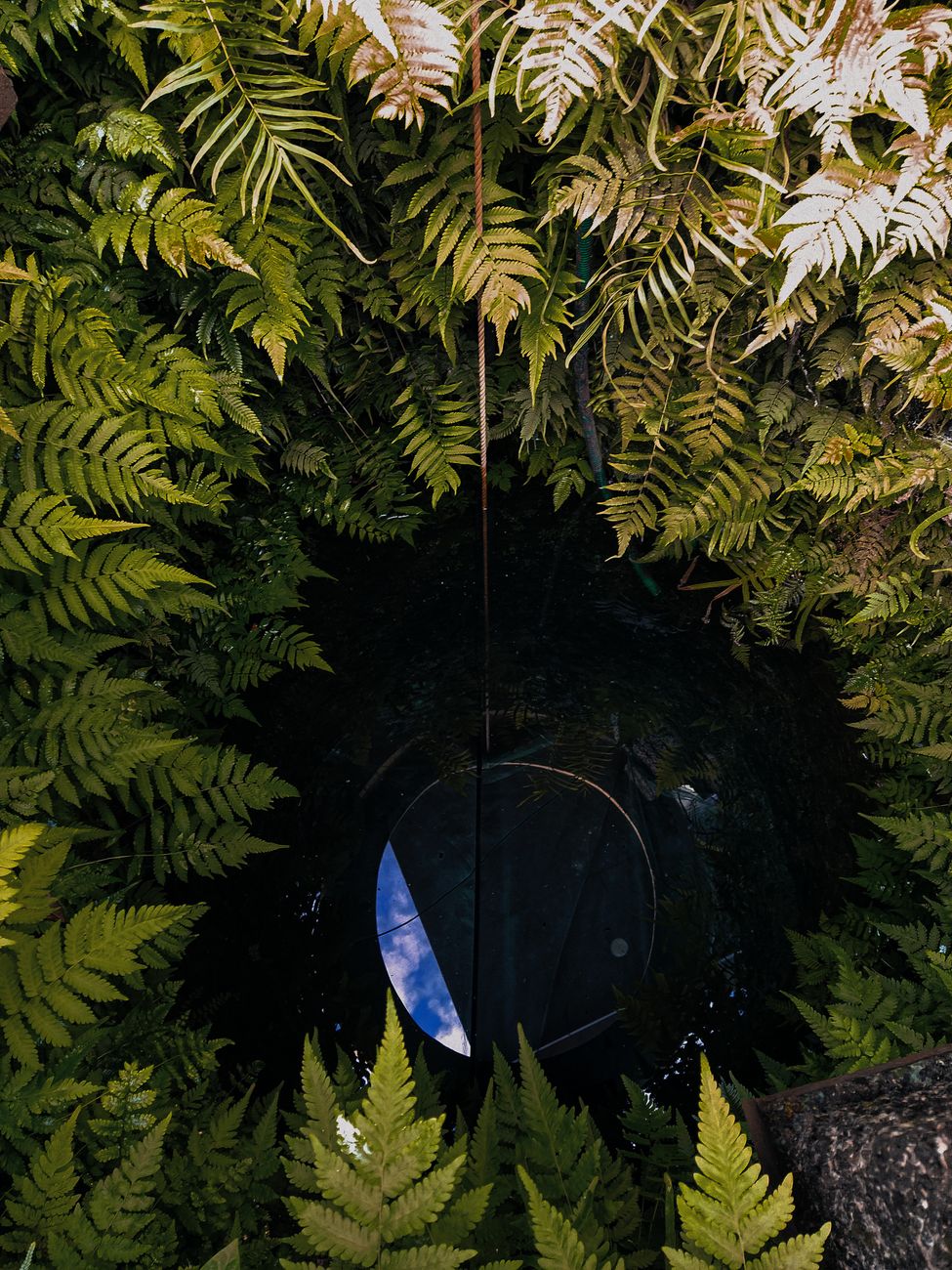 bathtub effect planting hole diagram