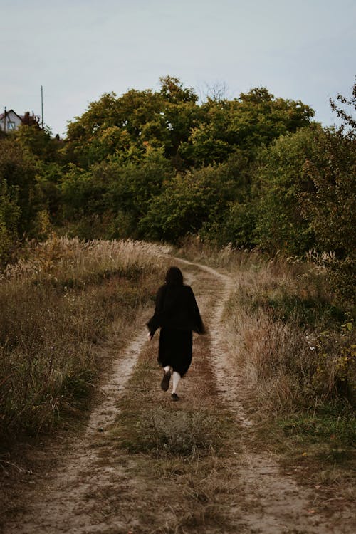 거닐다, 걷고 있는, 농촌의의 무료 스톡 사진