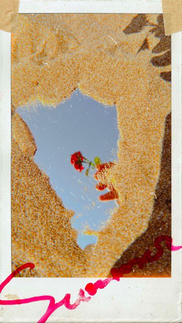 A rose reflected in a puddle amidst sandy textures, evoking a vintage summer feel.