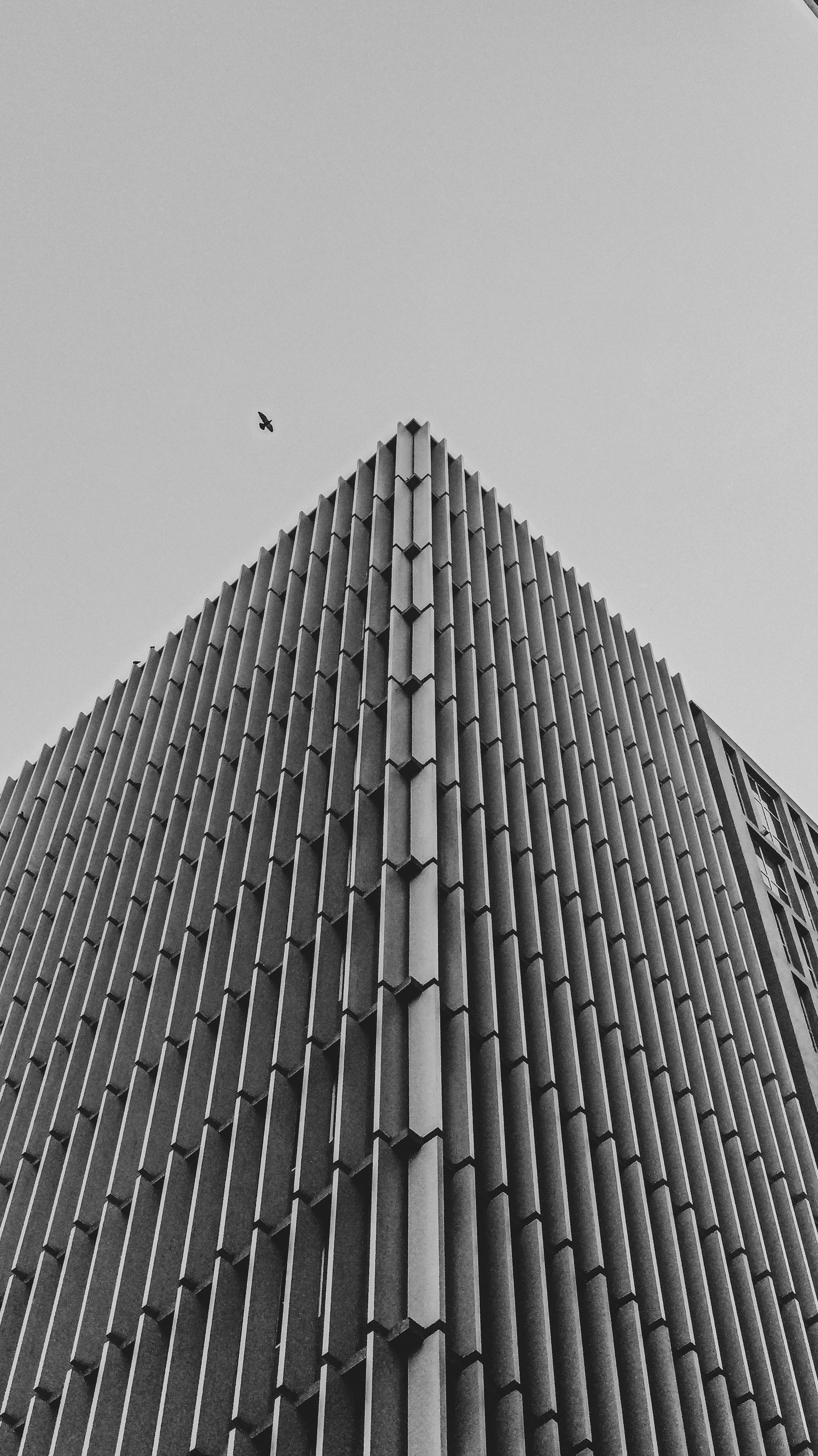 Gratis Fotos de stock gratuitas de arquitectura artistica, arquitectura contemporánea, arquitectura elegante Foto de stock