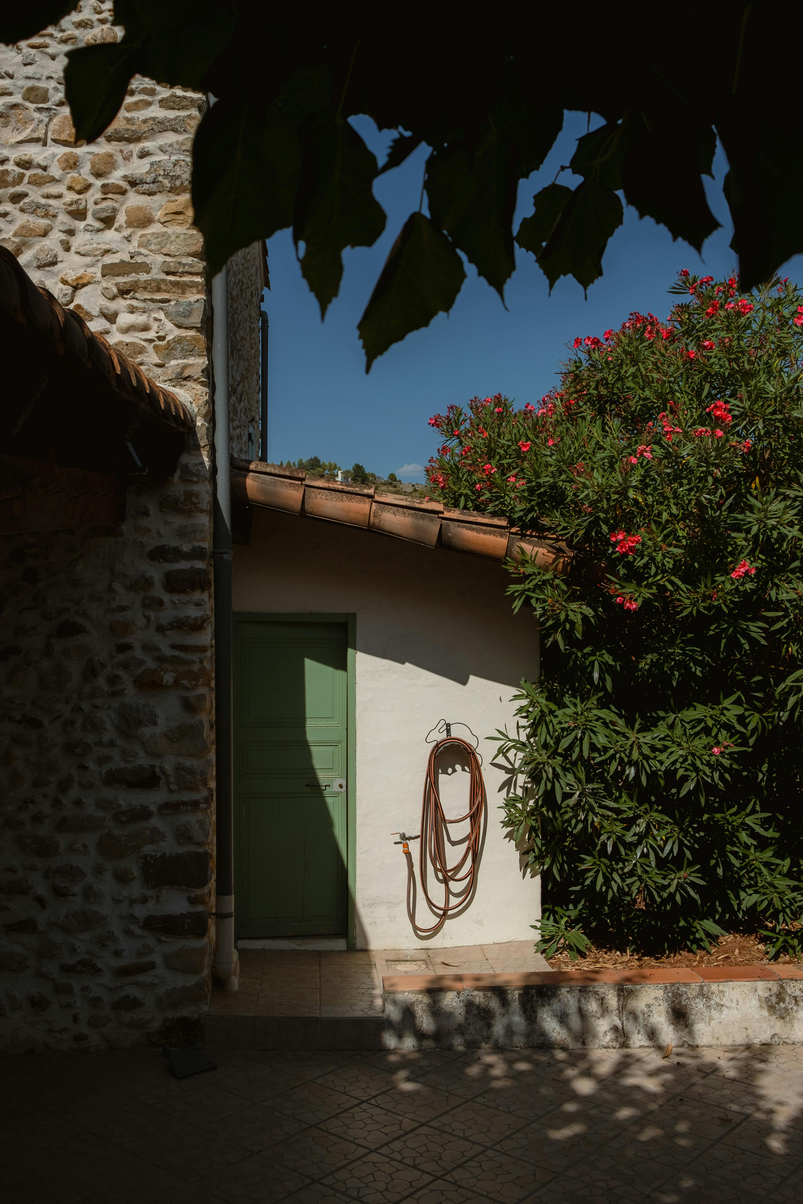Sunlit rural house entrance with green door and vibrant flower bushes, showcasing rustic charm.